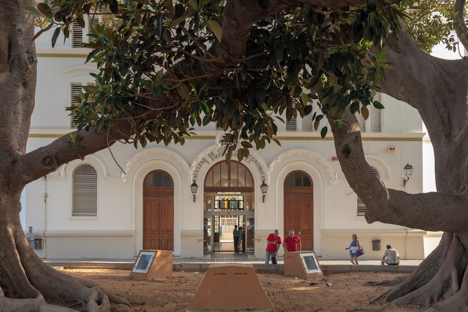 Edifici històric amb portals arquejats i un gran arbre al primer pla.