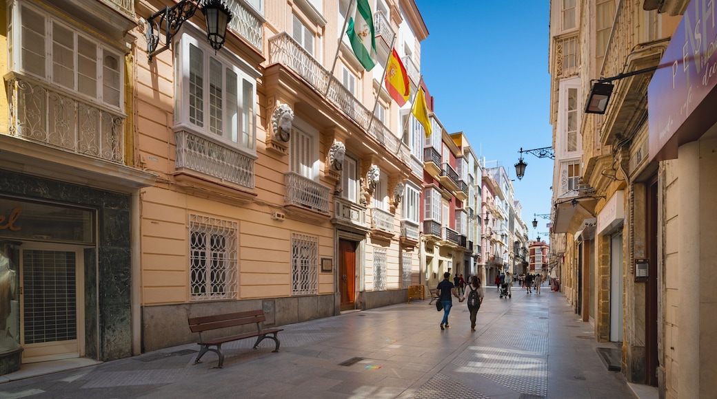 University of Cadiz which includes a city