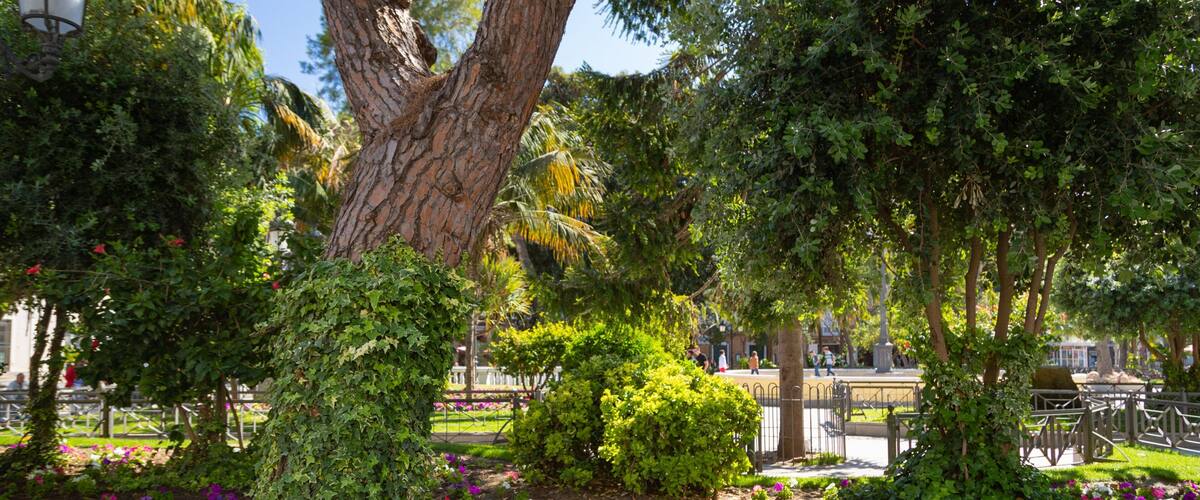 Plaza de Mina featuring wildflowers and a park
