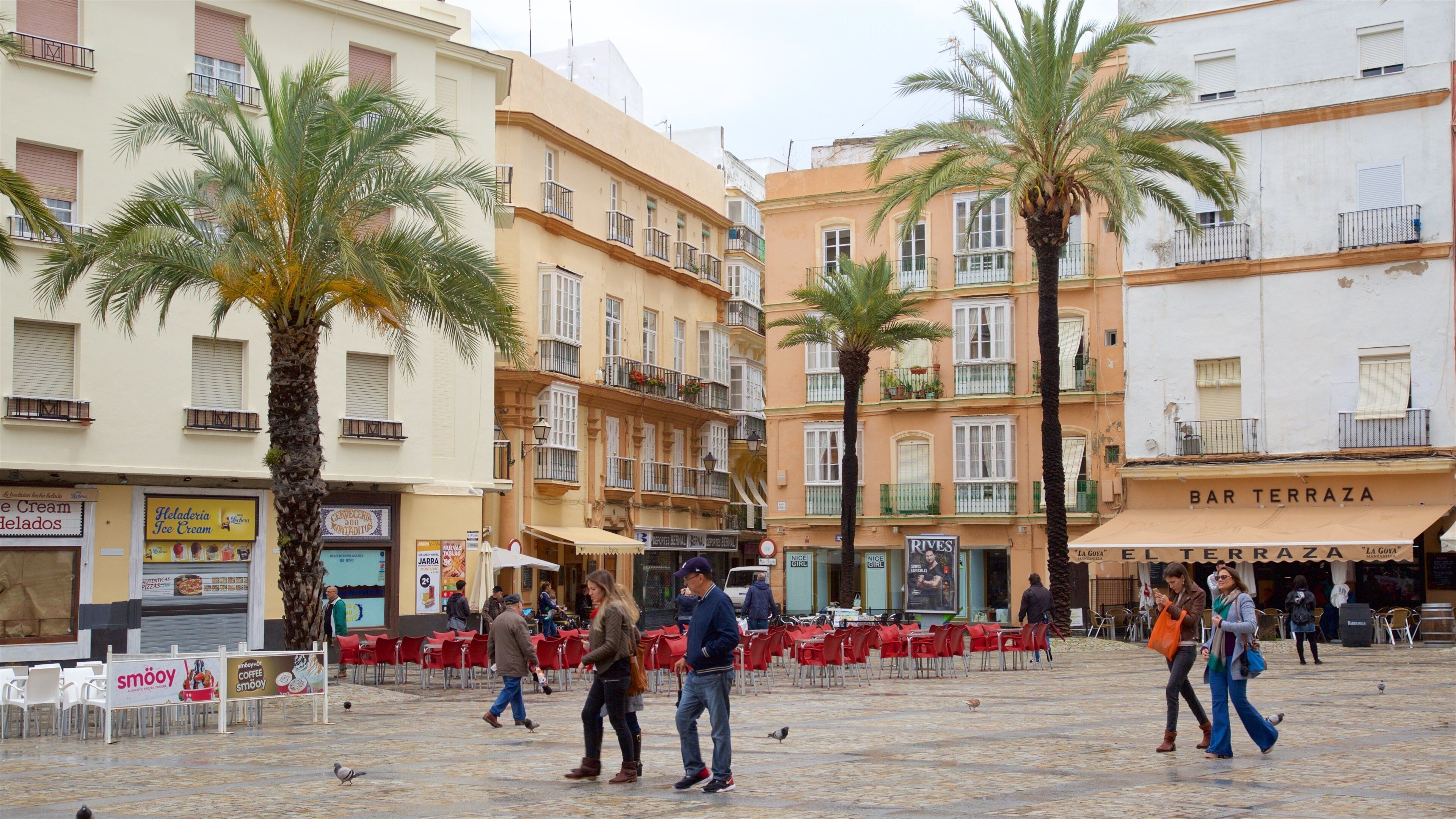 Cathedral Square featuring tropical scenes and a square or plaza as well as a small group of people