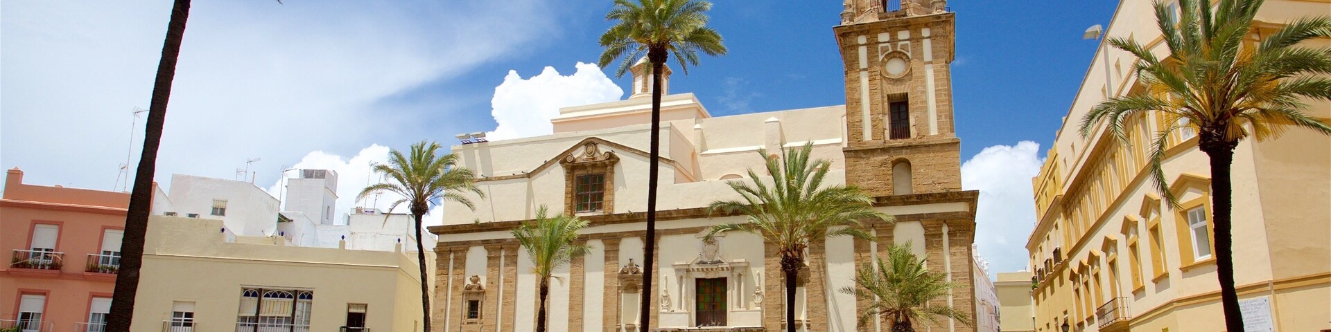 Praça da Catedral que inclui uma praça ou plaza e cenas tropicais