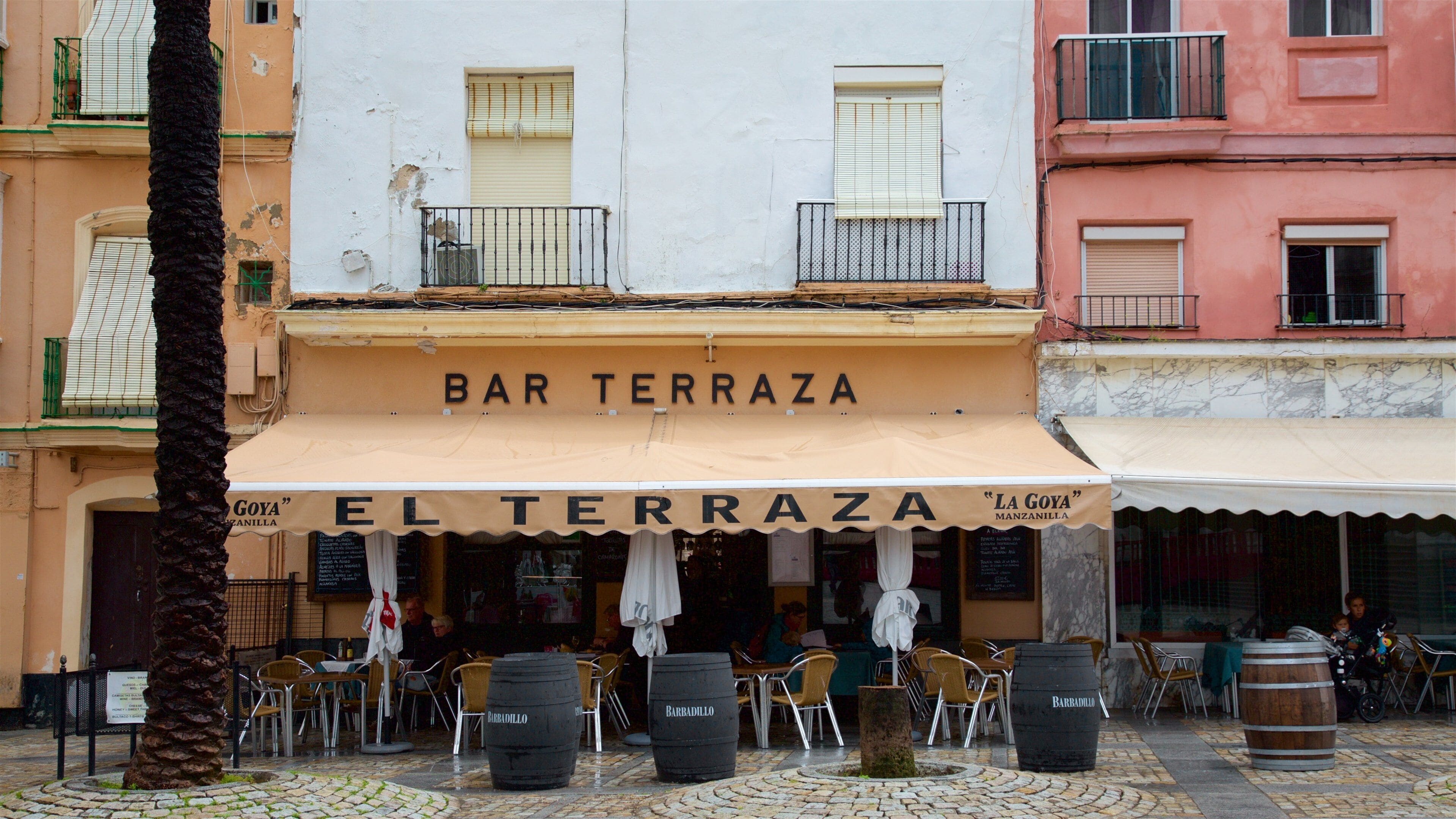 Cathedral Square featuring street scenes
