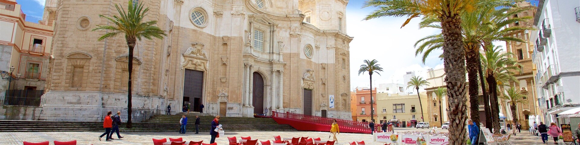 Praça da Catedral que inclui uma praça ou plaza