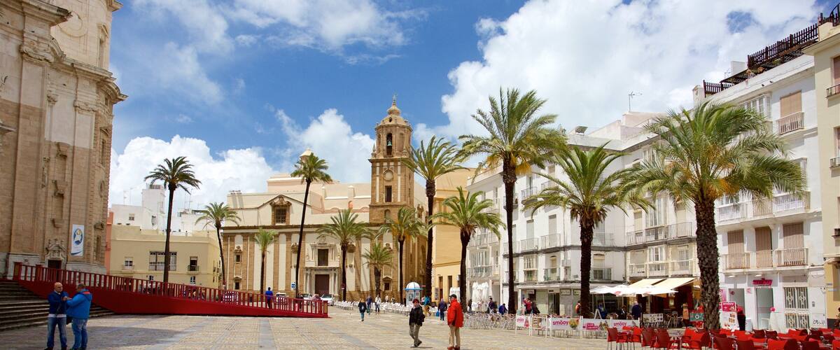 Cathedral Square which includes tropical scenes and a square or plaza