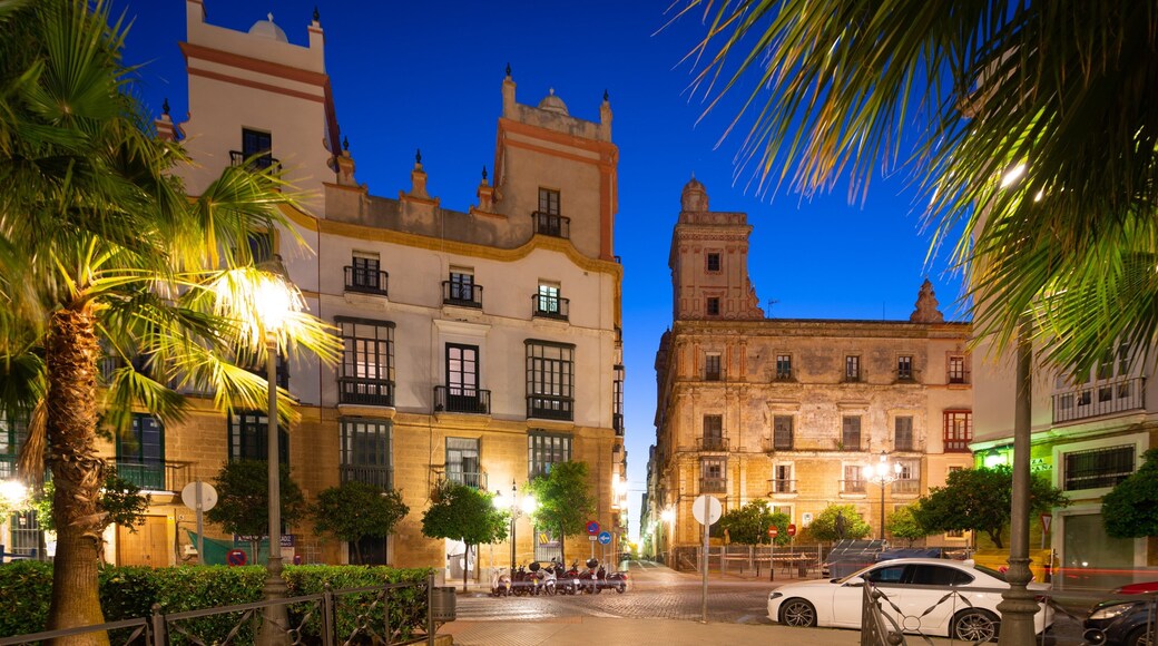 Plaza de Espana which includes night scenes and heritage elements