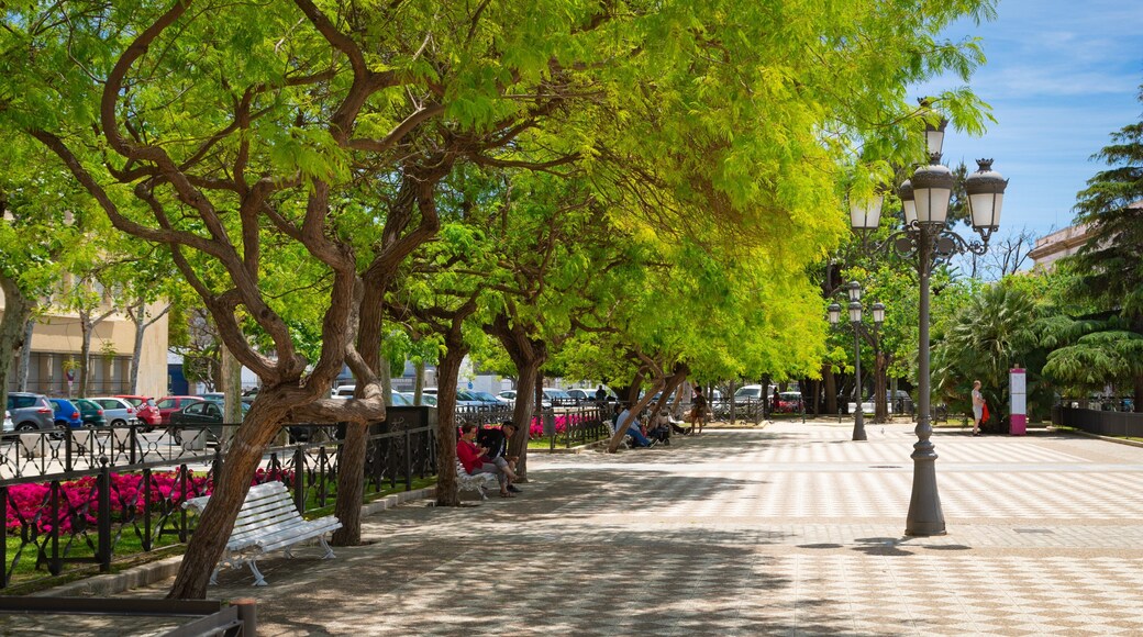 Plaza de Espana showing a park