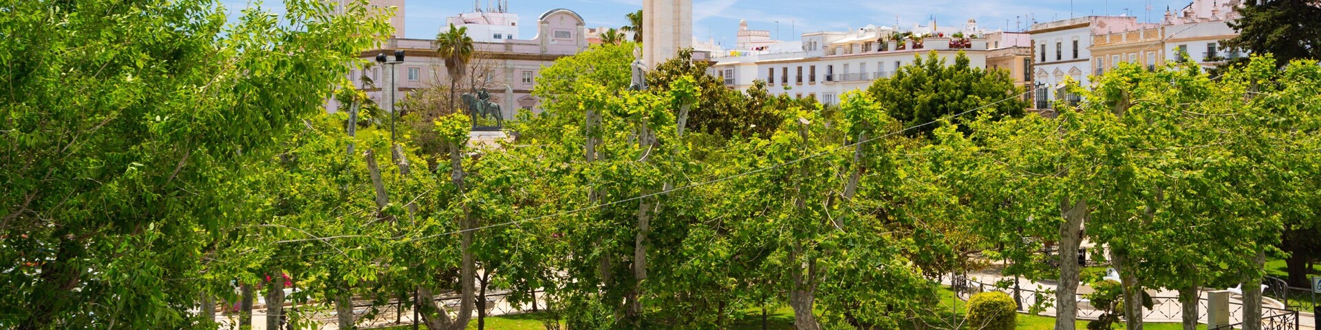 Plaza de Espana featuring a park