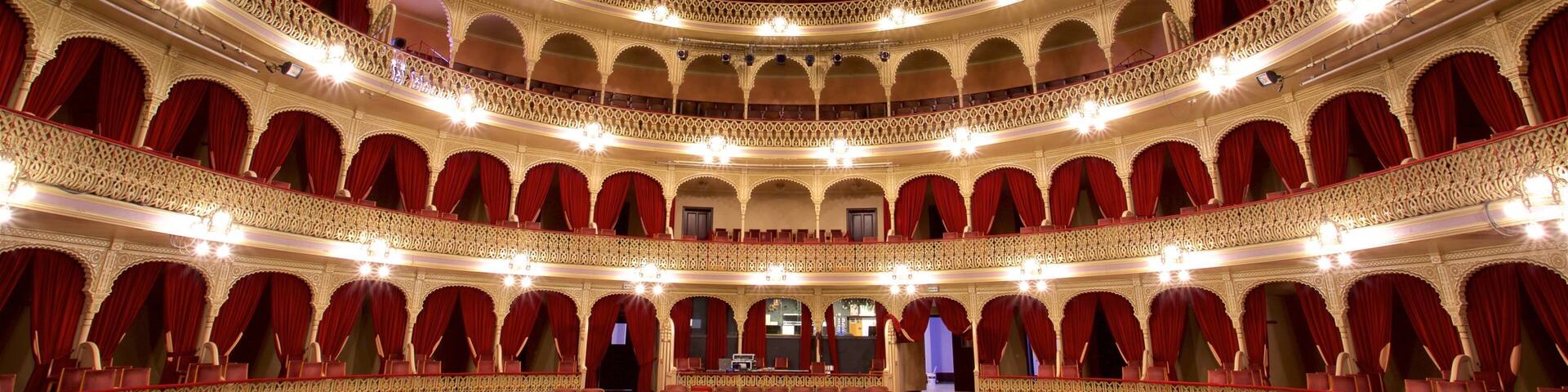 El Gran Teatro Falla showing theatre scenes and interior views