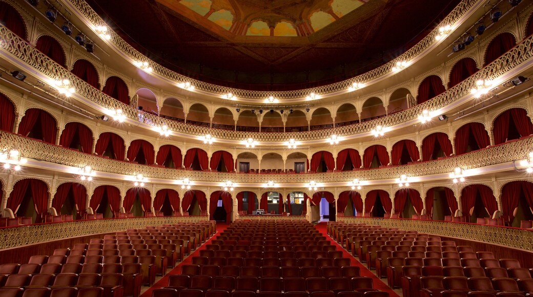 El Gran Teatro Falla featuring interior views and theater scenes