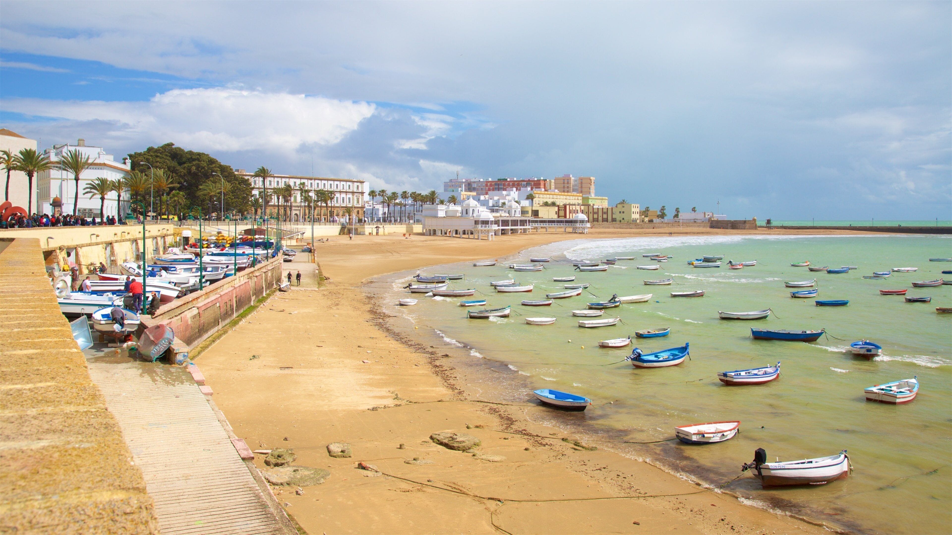 Plage de La Caleta montrant ville côtière, plage et navigation