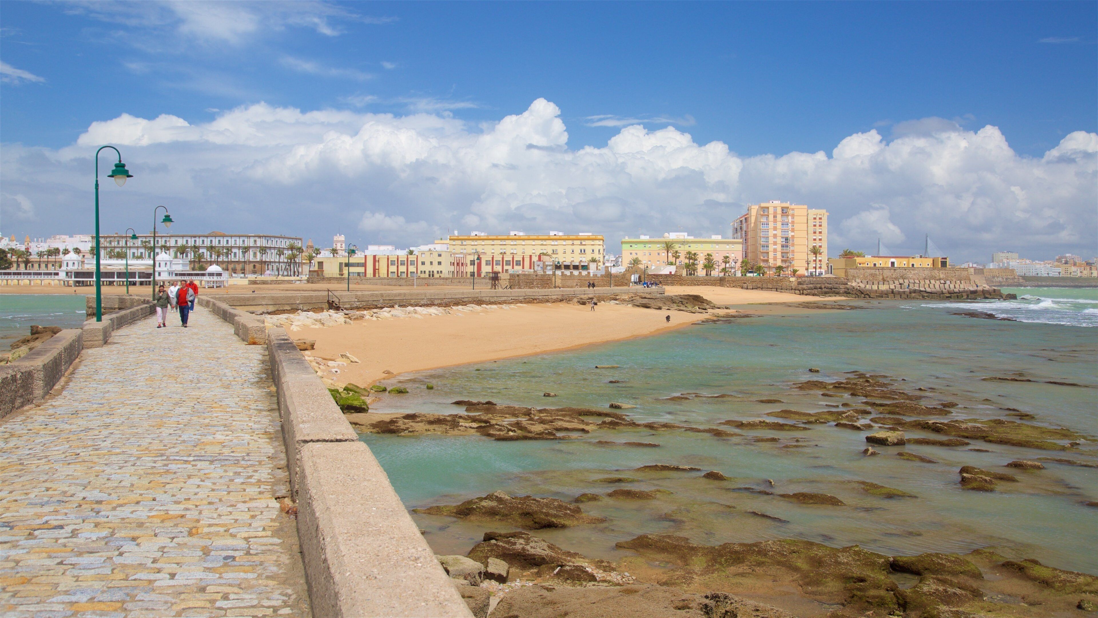 La Caleta Beach showing general coastal views