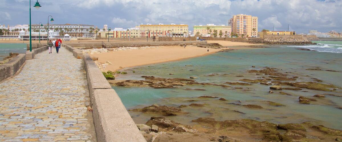 Playa de la Caleta mostrando vistas de una costa