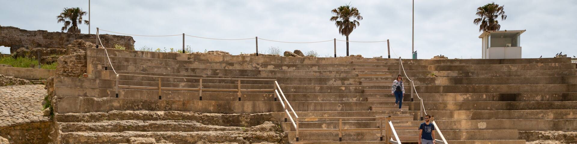 Ancient stone steps leading up to a wall with palm trees in the background.