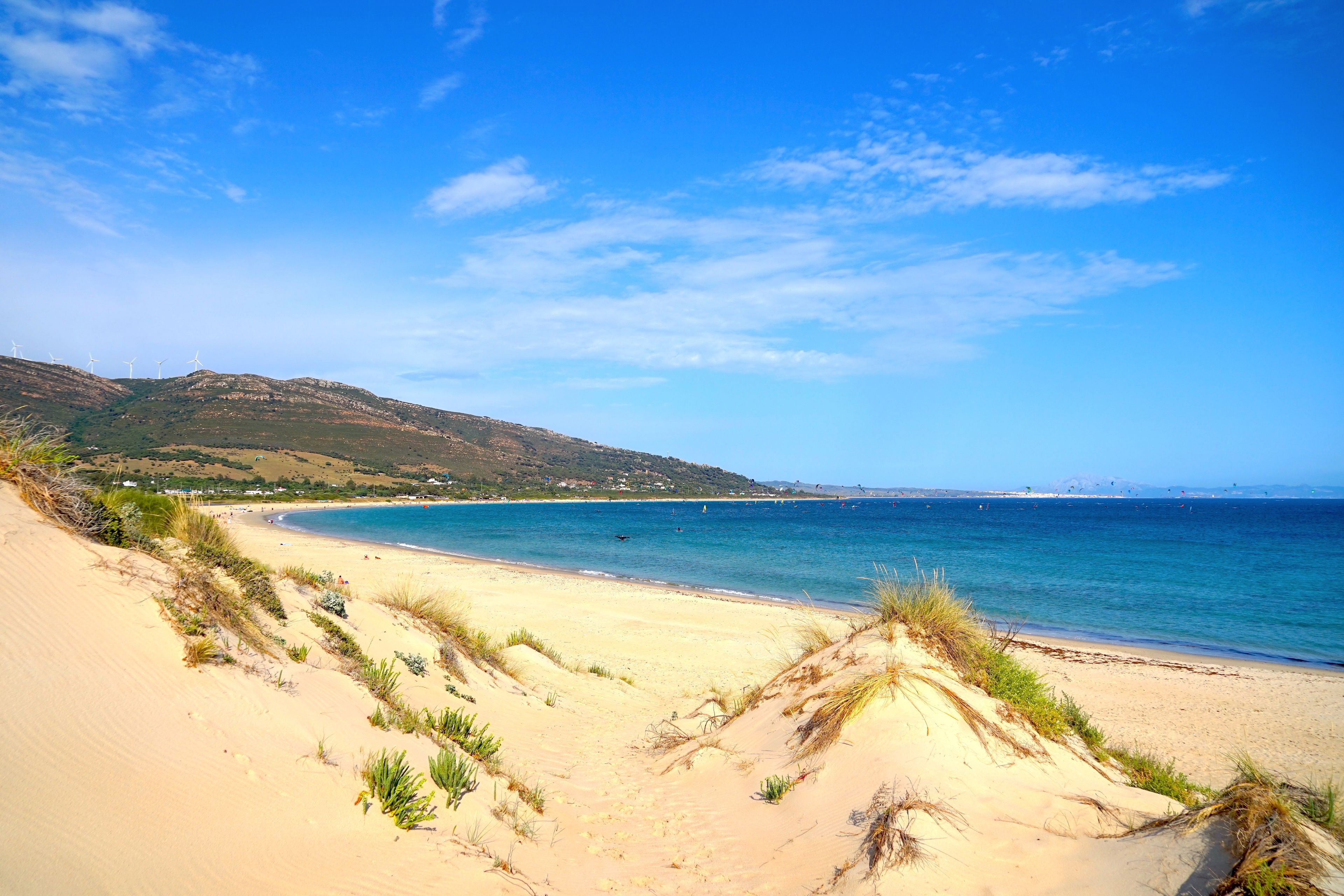 Un paisaje costero con una playa arenosa, dunas y un cielo azul despejado.