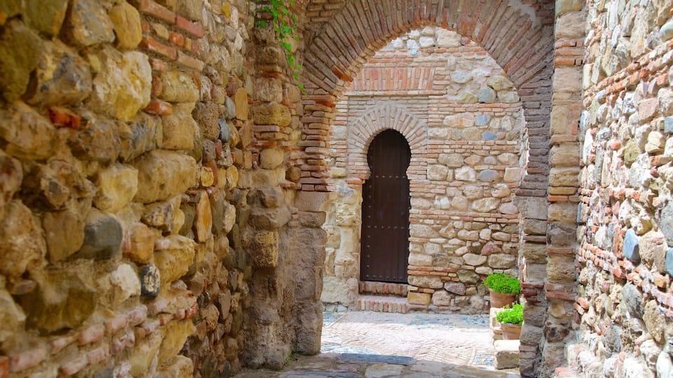 An arched stone corridor with a wooden door and potted plants.
