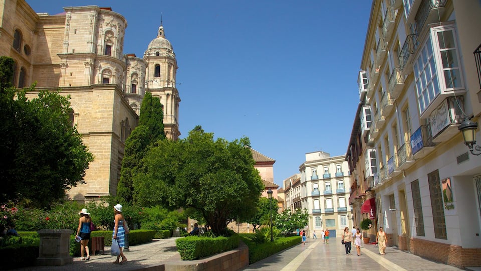 Malaga Cathedral featuring street scenes, a church or cathedral and a city