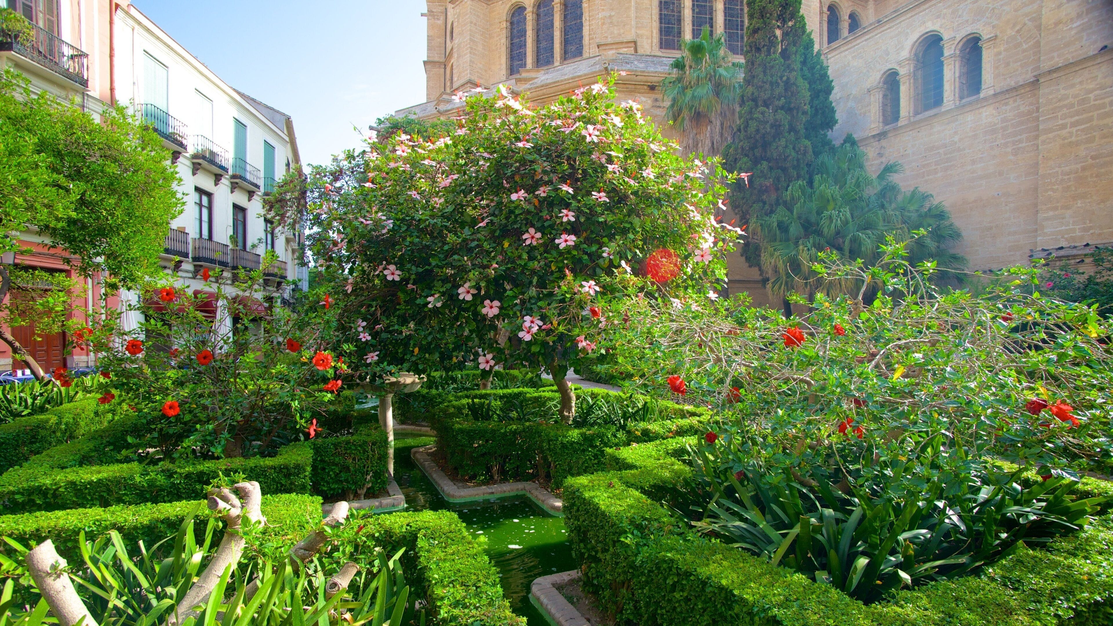 Malagas katedral presenterar blommor, en trädgård och en stad