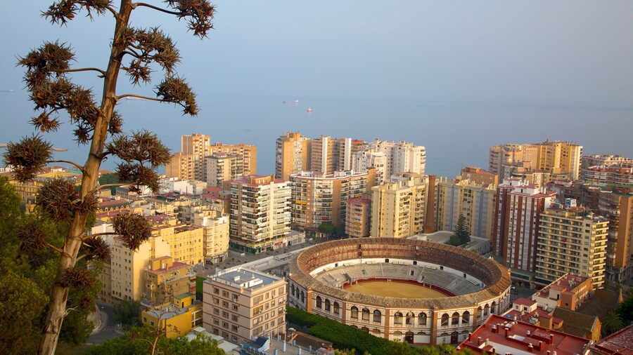 Gibralfaro Castle showing city views, a city and heritage architecture