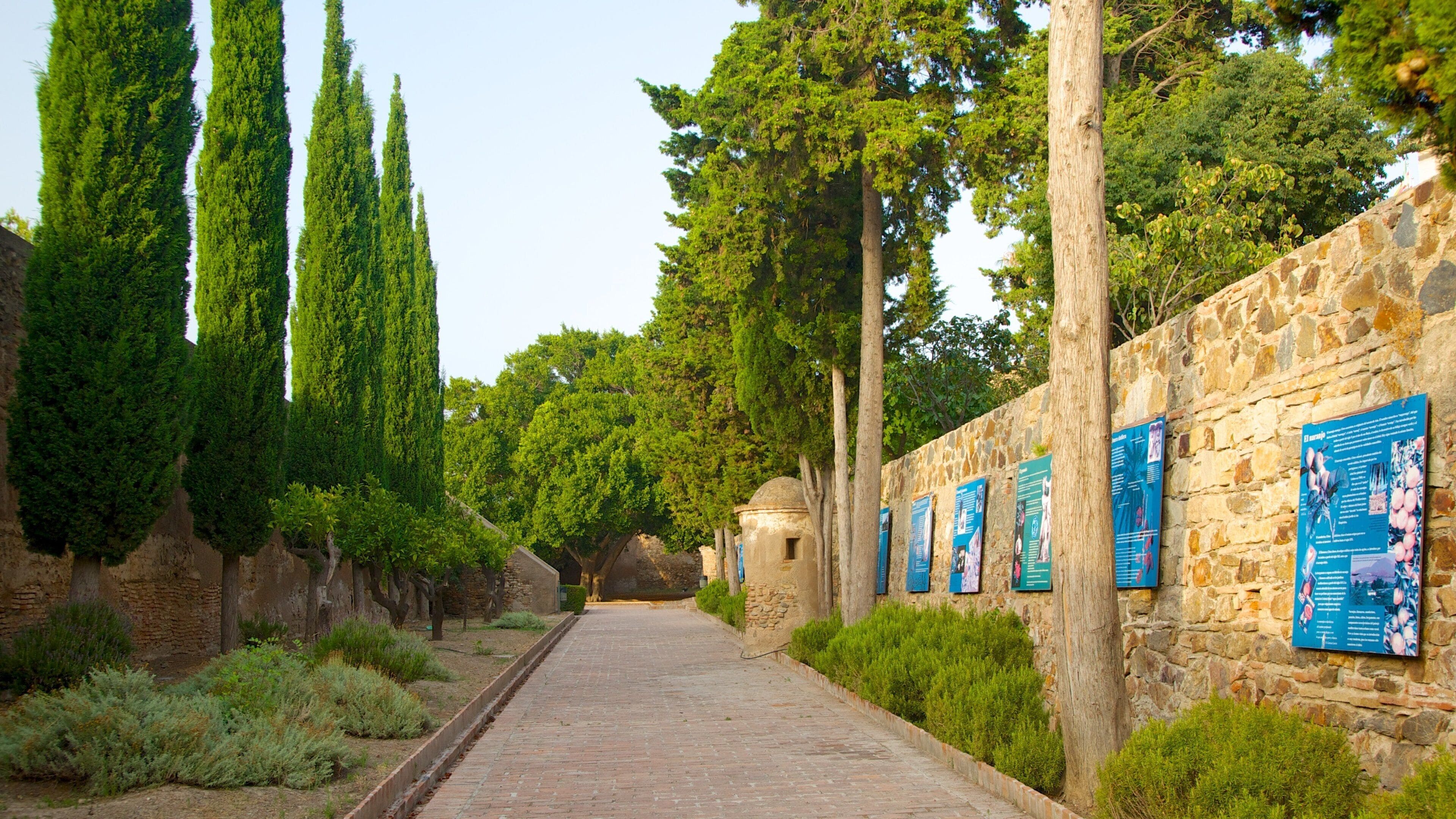 Château du Gibralfaro mettant en vedette château ou palais et patrimoine architectural