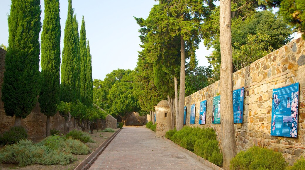 ChĂąteau du Gibralfaro mettant en vedette chĂąteau ou palais et patrimoine architectural