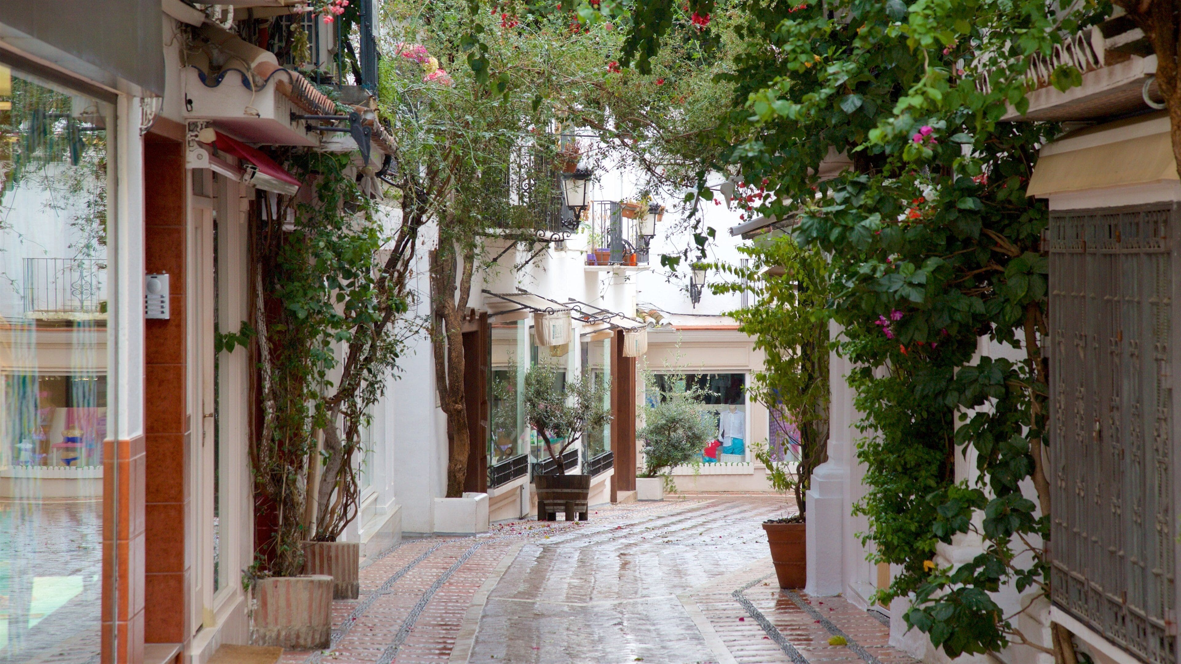 Orange Square featuring street scenes