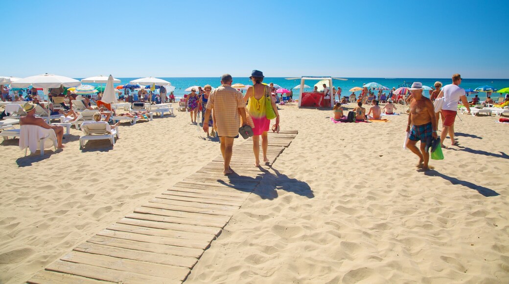 Spiaggia di Postiguet mostrando spiaggia cosi come un grande gruppo di persone