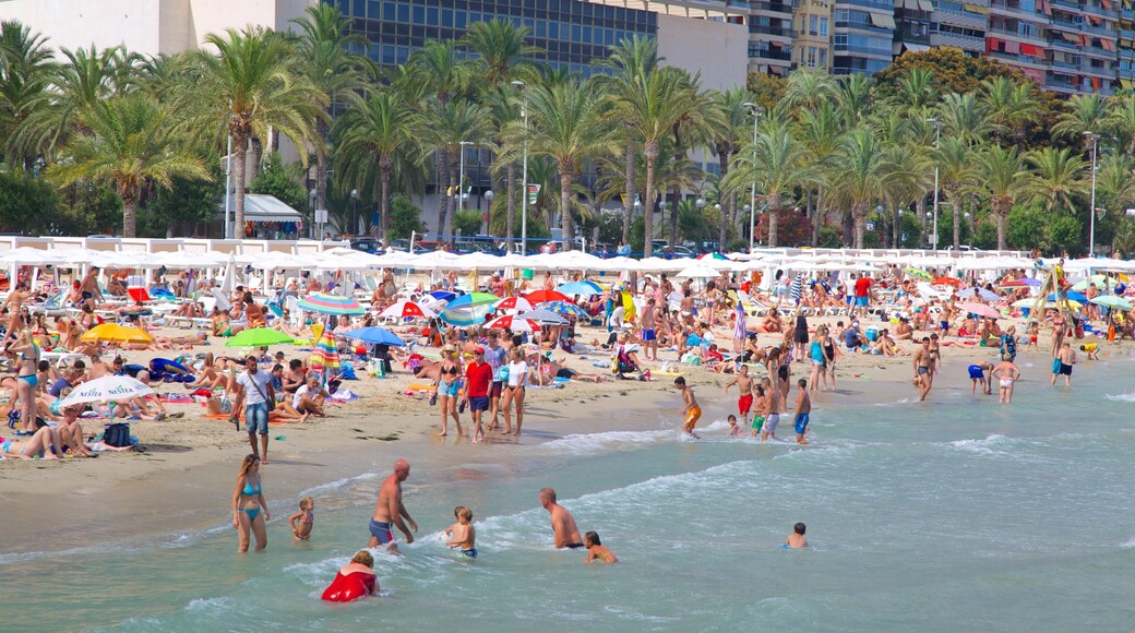 Spiaggia di Postiguet mostrando paesaggio tropicale, nuoto e spiaggia