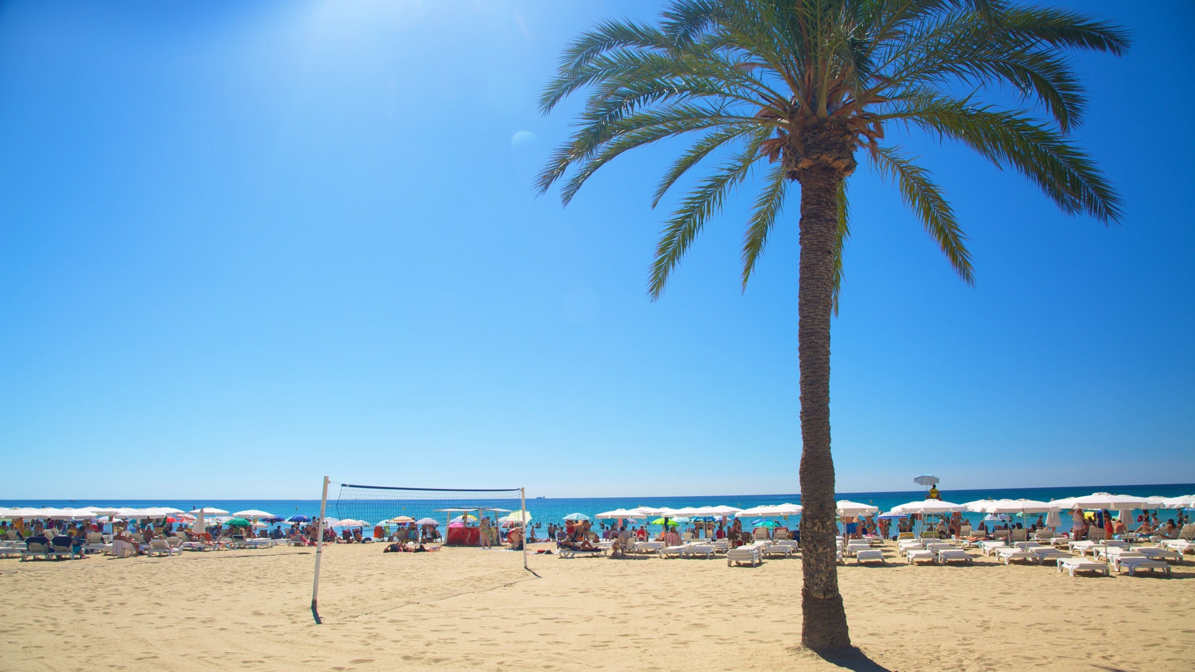 Spiaggia di Postiguet che include paesaggio tropicale e spiaggia