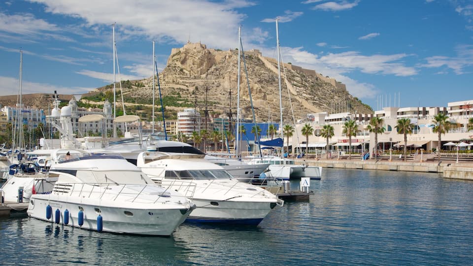 A marina with several yachts docked, a rocky hill in the background, and buildings with palm trees.