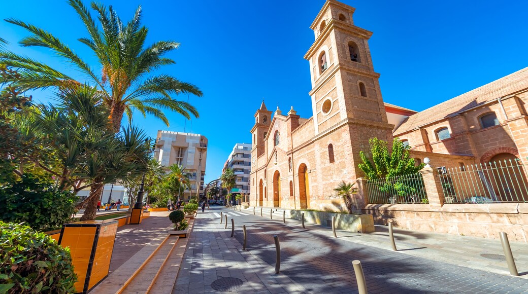 アーキプリスタル チャーチ オブ ジ イマキュレット コンセプション