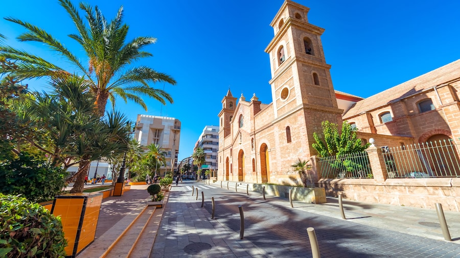 圣母无原罪主教座堂