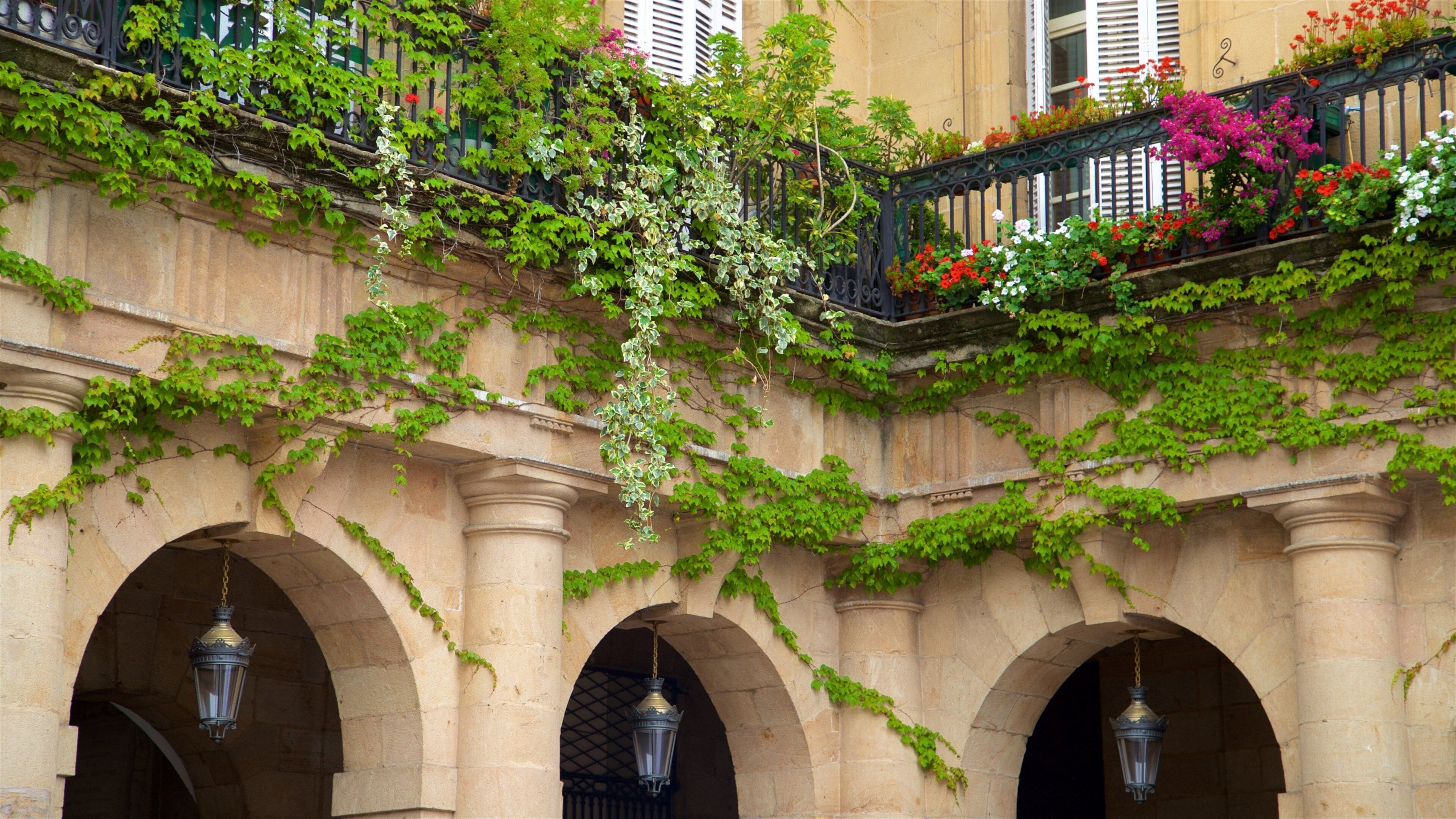 Plaza Nueva showing flowers