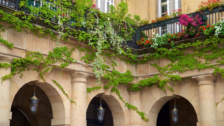 Plaza Nueva showing flowers