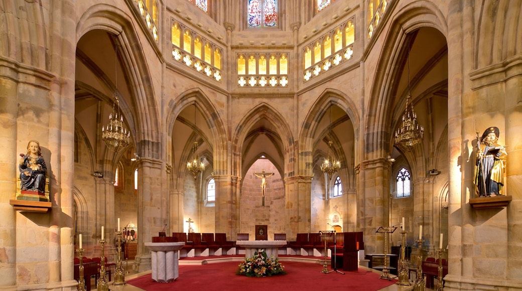 Santiago-katedralen fasiliteter samt kirke eller katedral, kulturarv og innendørs