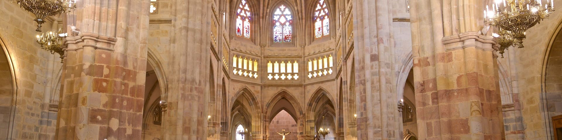 Catedral de Santiago ofreciendo elementos del patrimonio, vistas interiores y una iglesia o catedral