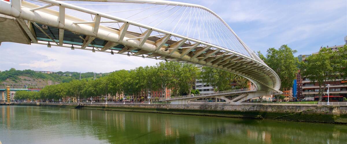 Zubizuri Bridge which includes a bridge and a river or creek