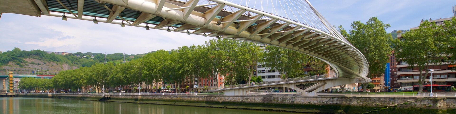 Zubizuri Bridge which includes a bridge and a river or creek