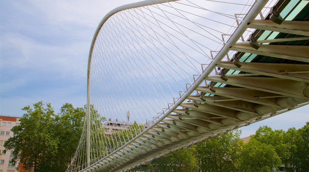 Puente Zubizuri mostrando un puente