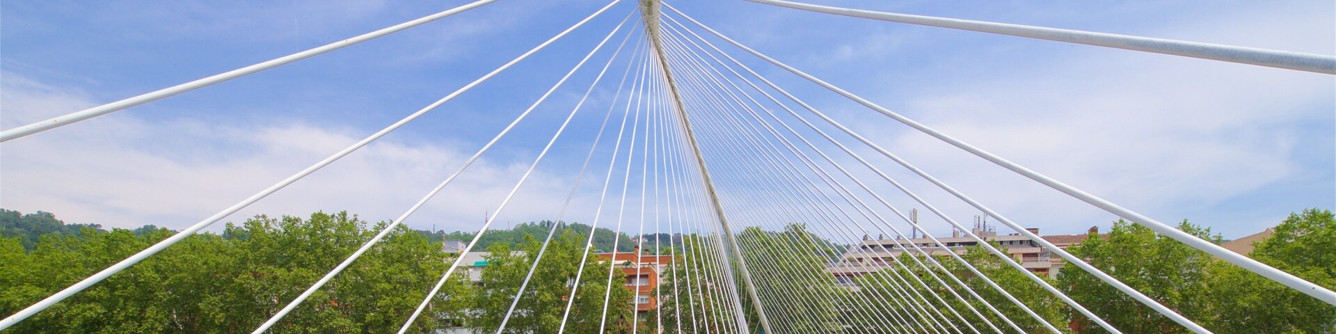 Zubizuri Bridge showing street scenes, a river or creek and a bridge