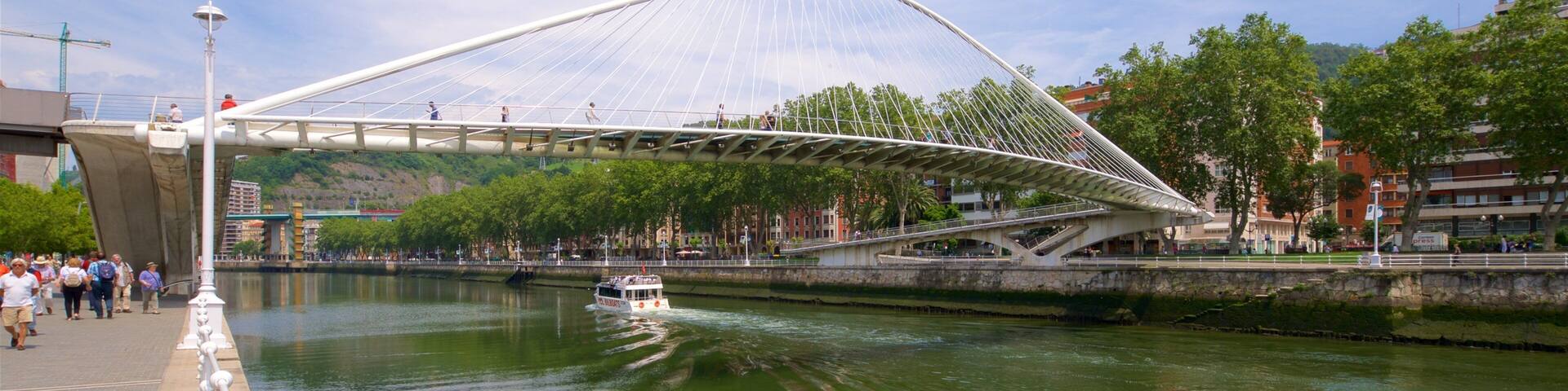 Puente Zubizuri ofreciendo un puente, un río o arroyo y paseos en lancha