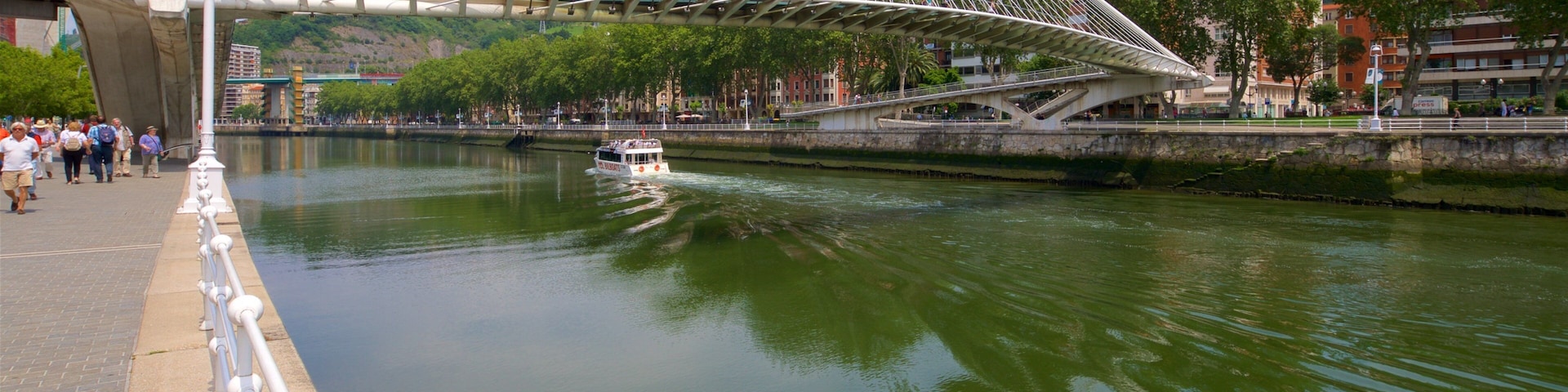 Puente Zubizuri mostrando embarcaciones, un puente y un río o arroyo