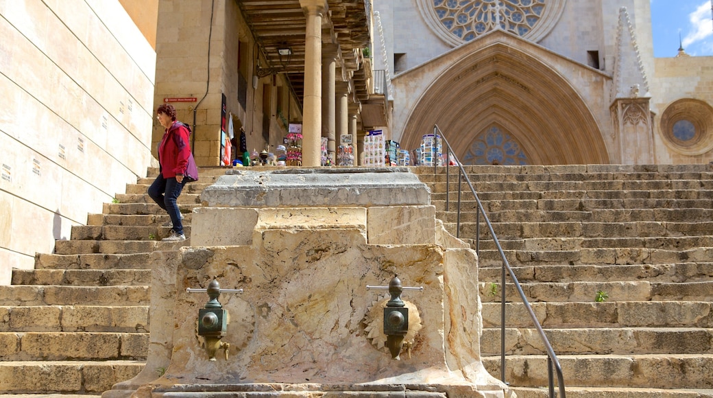 Tarragona Cathedral featuring heritage architecture and heritage elements