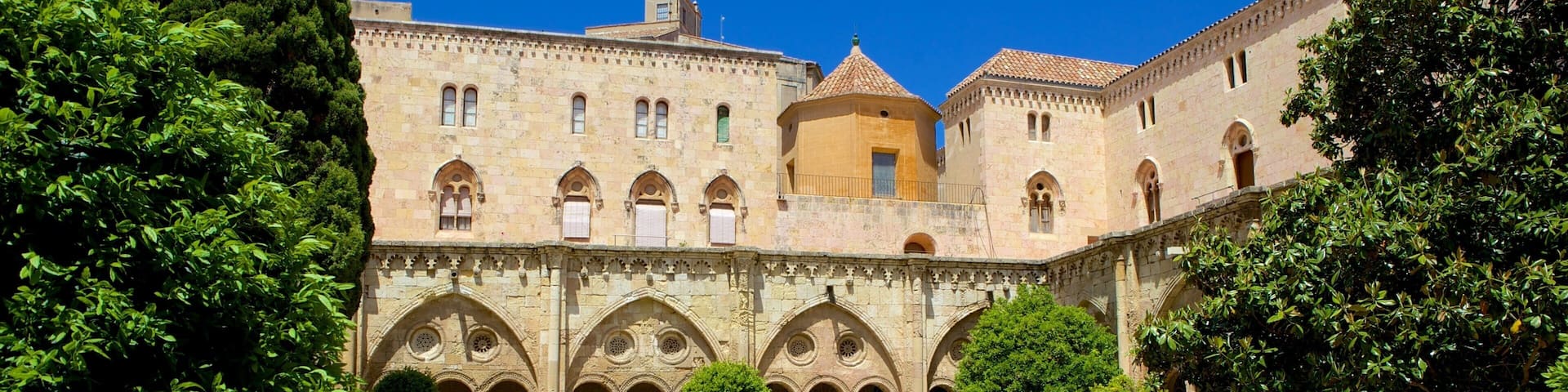Kathedrale von Tarragona welches beinhaltet historische Architektur und Park sowie groĂe Menschengruppe