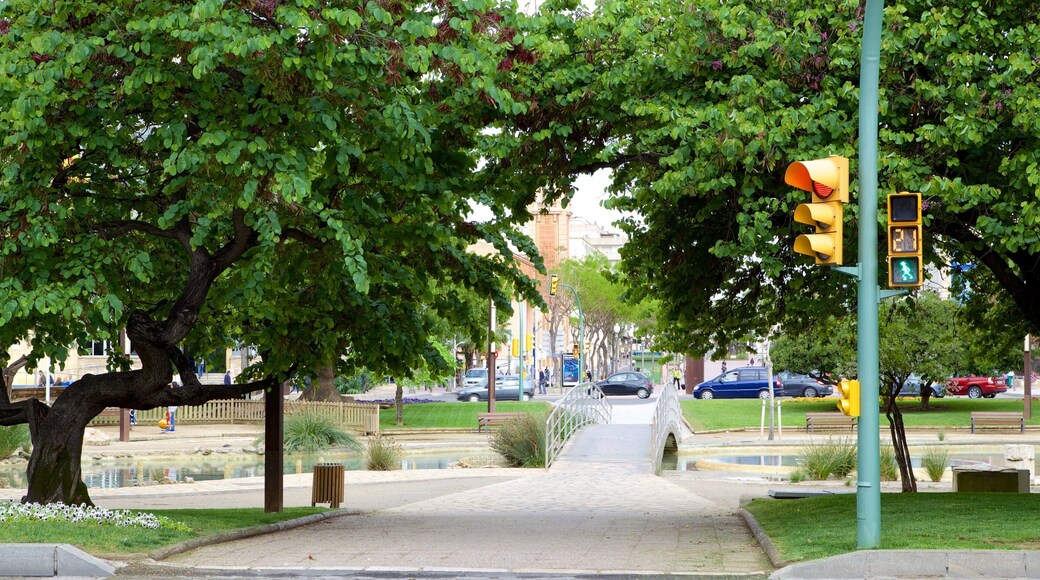 Plaza Imperial Tarraco showing a garden