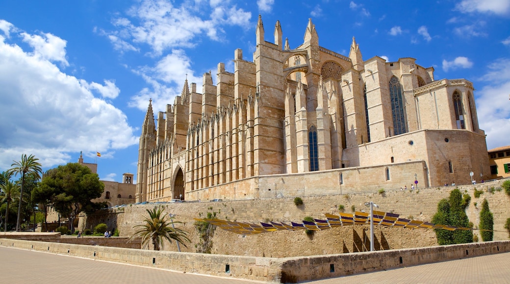 Mallorca katedral fasiliteter samt religion, historisk arkitektur og kirke eller katedral