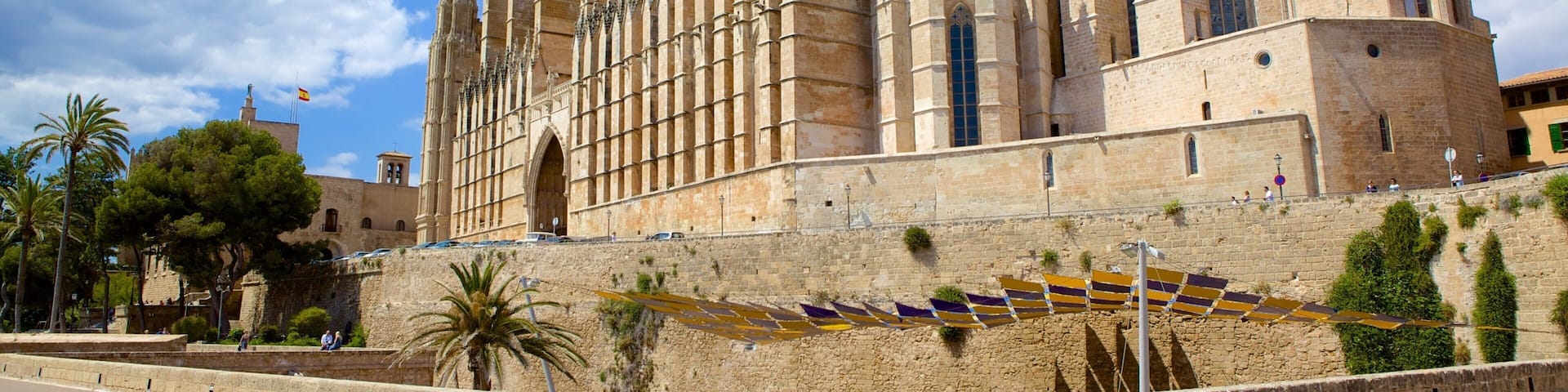 Kathedrale von Palma welches beinhaltet Kirche oder Kathedrale, religiöse Aspekte und historische Architektur