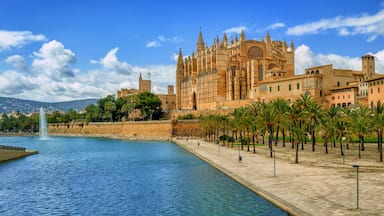 Una catedral histórica con arquitectura gótica, un paseo marítimo bordeado de palmeras y un cielo azul despejado.