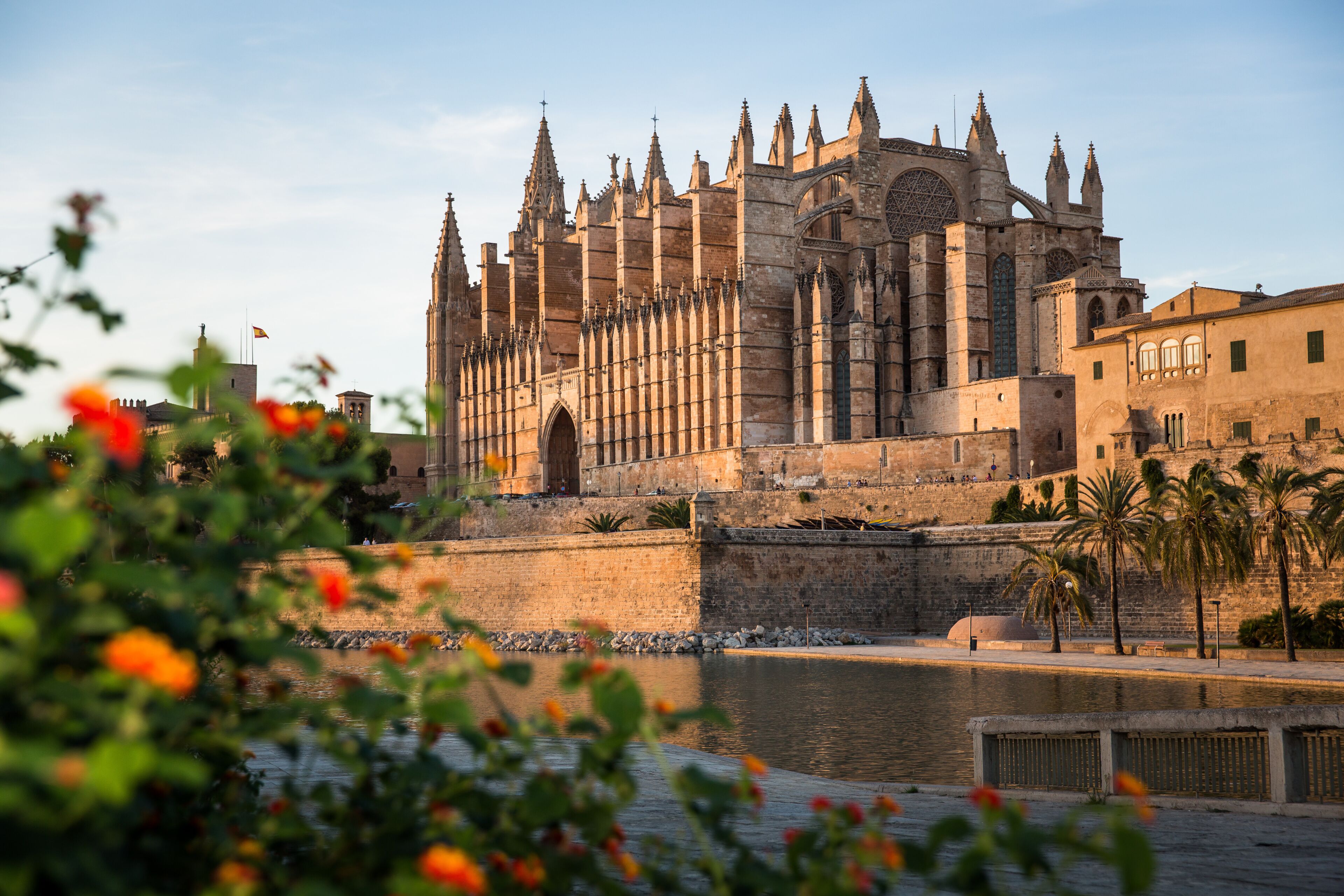 palma cathedral