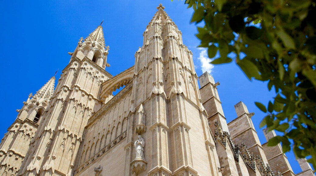 Nhà thờ Mallorca trong đó bao gồm nhà thờ, yếu tố tôn giáo và kiến trúc di sản