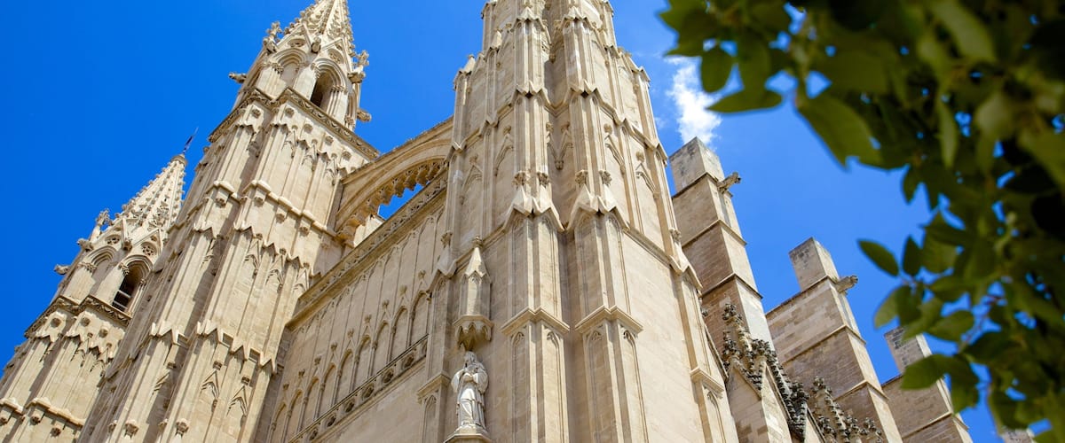 Catedral de Mallorca que incluye aspectos religiosos, una iglesia o catedral y patrimonio de arquitectura